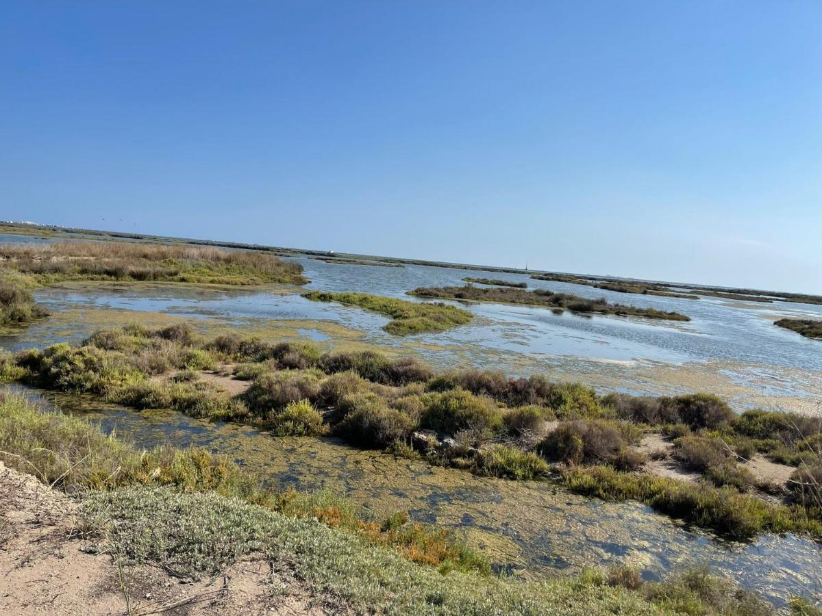 La Calma Del Delta Villa L'Eucaliptus Eksteriør billede