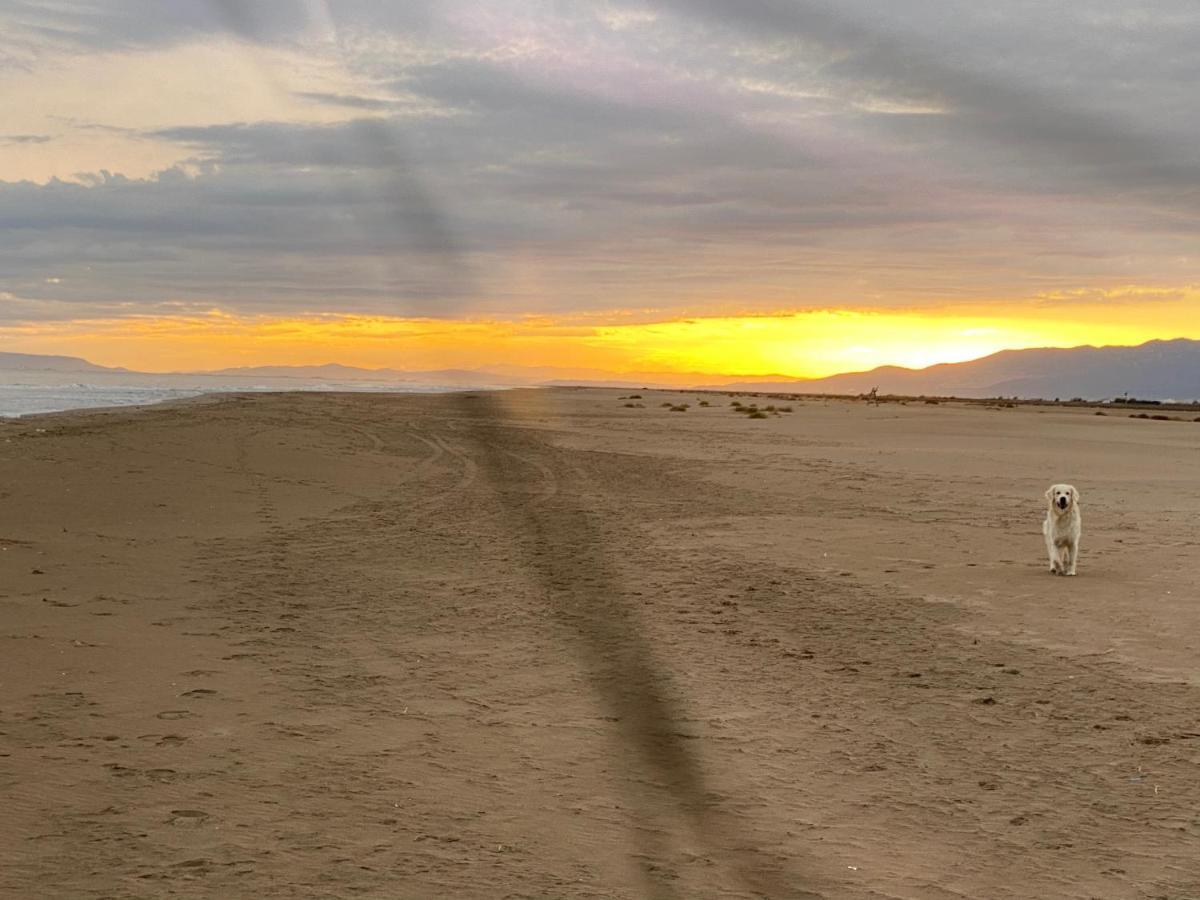 La Calma Del Delta Villa L'Eucaliptus Eksteriør billede